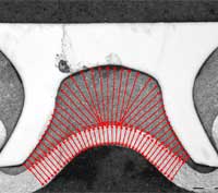 Layer Thickness Measurement